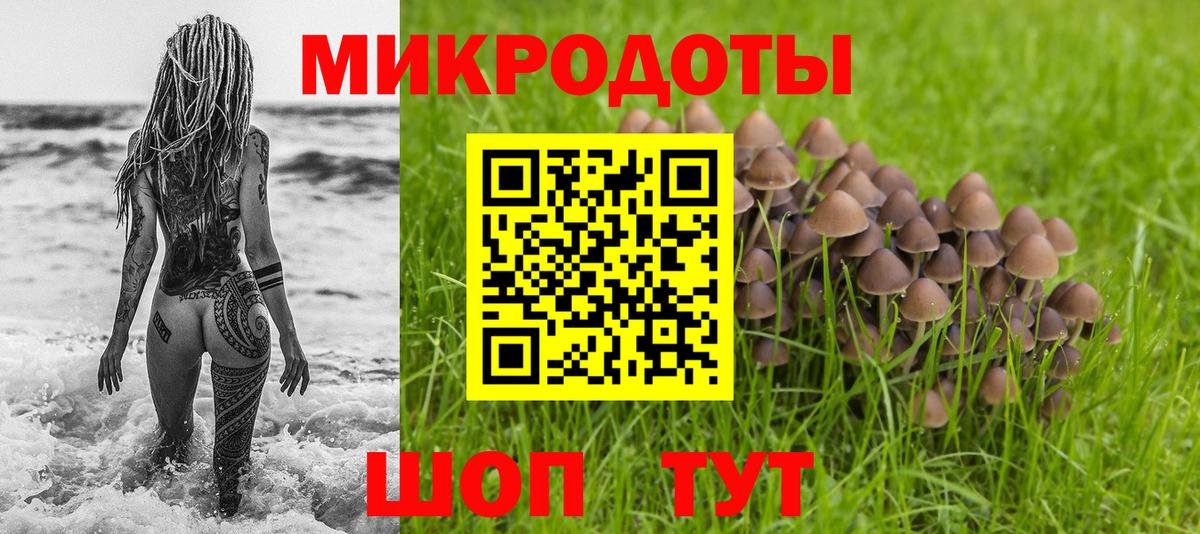 Галлюциногенные грибы Psilocybe Еманжелинск