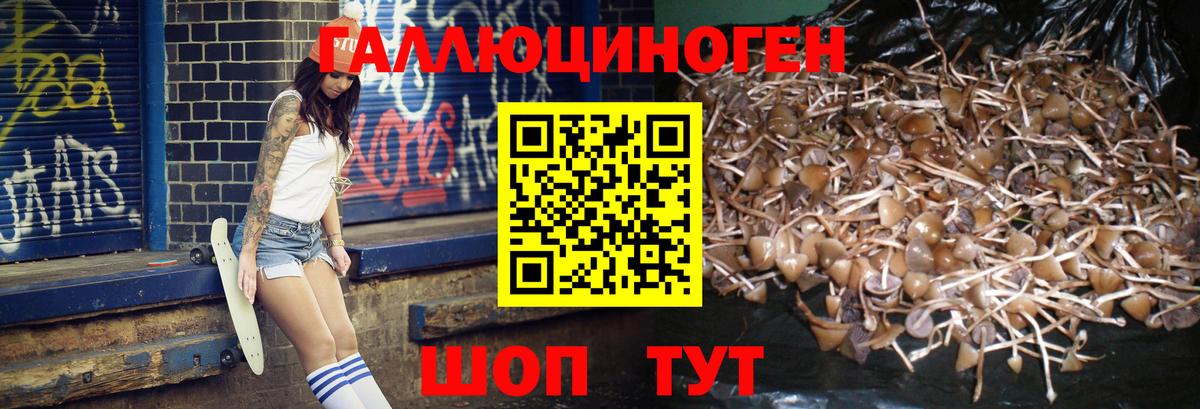 Галлюциногенные грибы мицелий  Вход с VPN  Галлюциногенные грибы MAGIC MUSHROOMS  Еманжелинск 